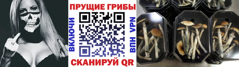 Псилоцибиновые грибы мухоморы  Мамадыш 